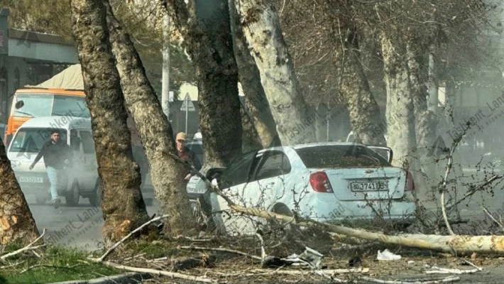 В Ташкенте автомобиль влетел в дерево, есть пострадавшие