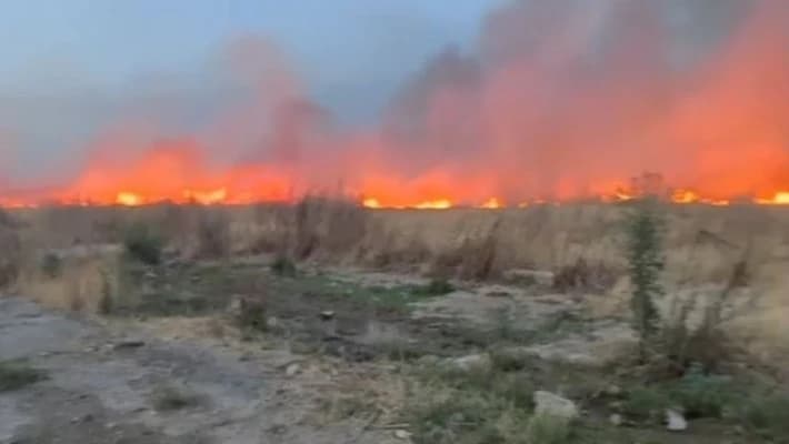 Возгорание травы ликвидировали около аэропорта Ташкента