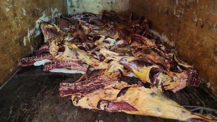 В Ташкент пытались завести почти тонну мяса неизвестного происхождения
