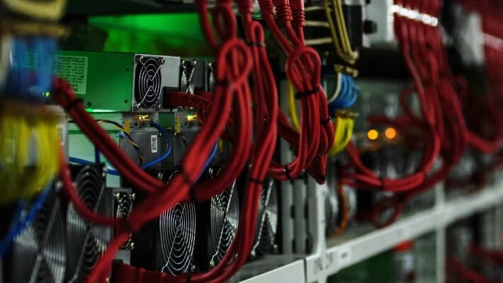 В Навои ущерб от нелегальной майнинг-фермы оценили в 9,6 млрд сумов