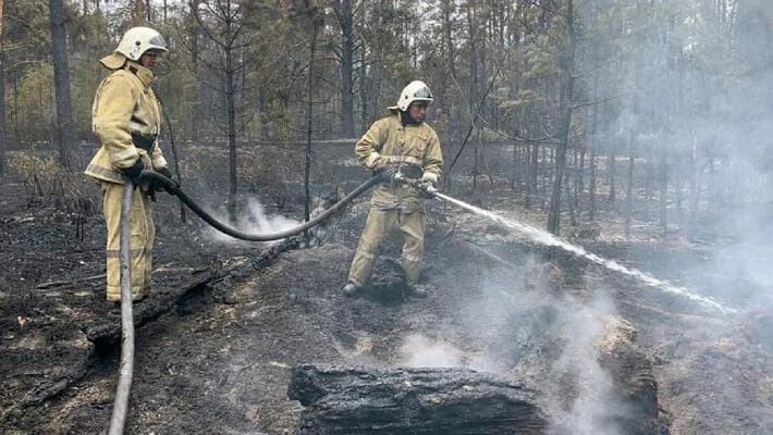 Мирзиёев предложил Казахстану помощь в борьбе с лесными пожарами