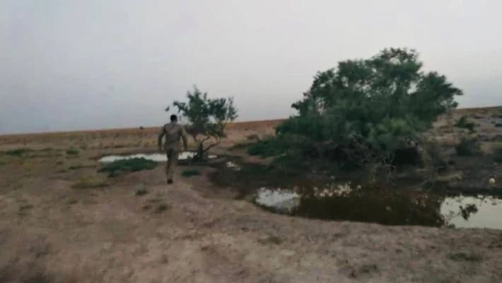 В Бухарской области браконьер ранил инспектора экологии