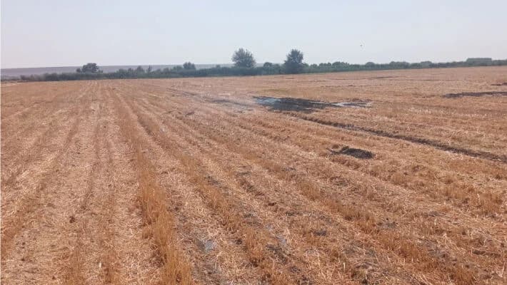 Экоинспектора избили в ходе проверки полей в Ташкентской области