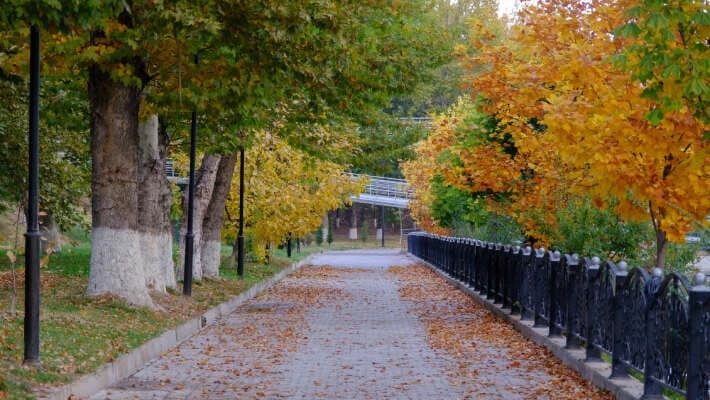 В конце рабочей недели в Узбекистане резко похолодает