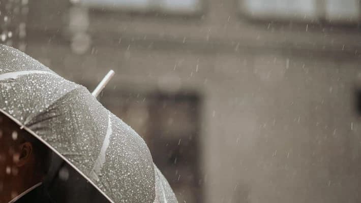 Дождь и снег обещают синоптики узбекистанцам 16 февраля