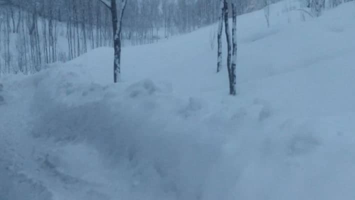 В горах Кашкадарьи выпало до полутора метров снега