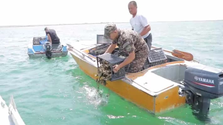 В Самаркандской области задержали браконьеров с 765 кг живых раков