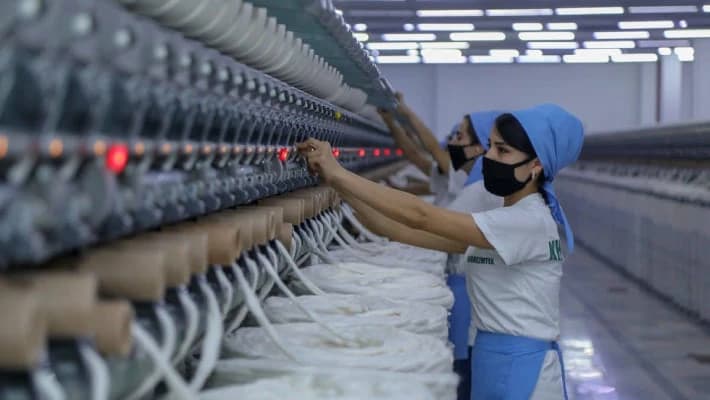 Мирзиёев подписал указ о финансовом оздоровлении хлопковых кластеров
