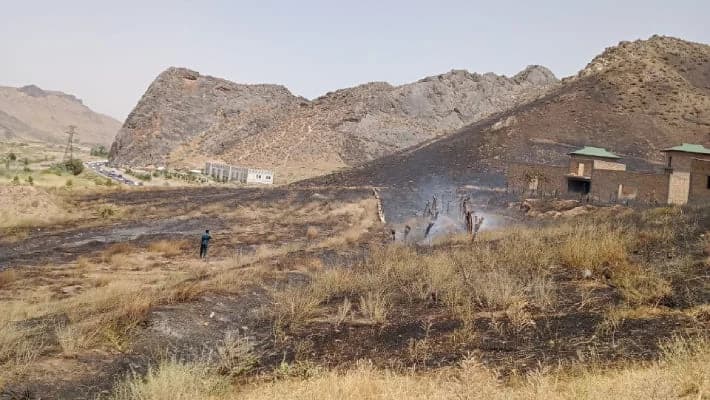 В горной местности в Джизакской области произошел пожар