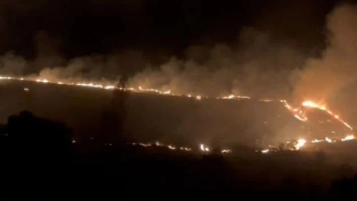 Крупный пожар произошел на полях Ташкентской области