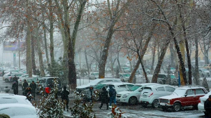 Жителей Ташкента предупредили о сильном снегопаде