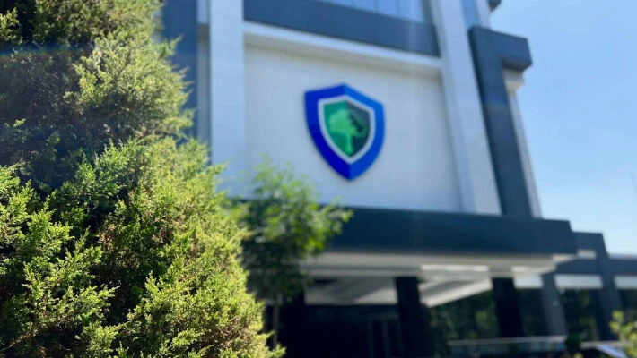 Минэкологии выступило против пересадки более 50 тыс. деревьев вдоль дорог