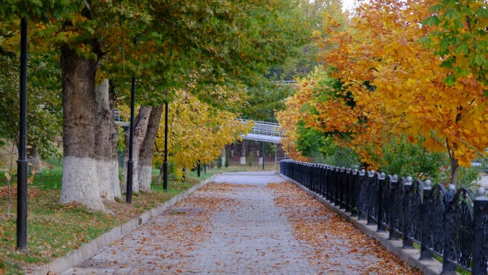 Какая погода ожидает узбекистанцев в праздничные дни