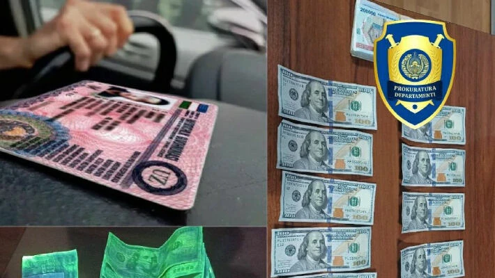 В двух областях поймали мошенников, обещавших права без экзаменов