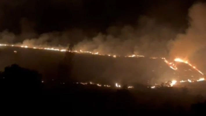 Крупный пожар произошел на полях Ташкентской области