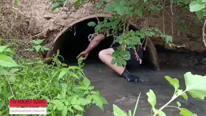 Кадр из видео