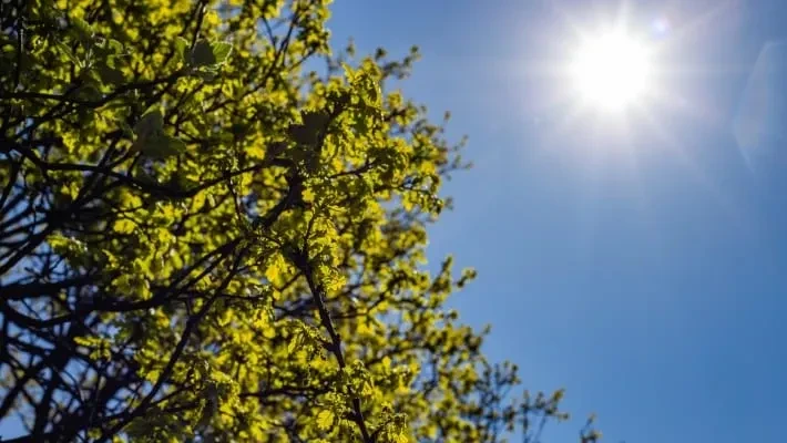 В выходные сохранится жаркая погода