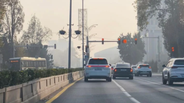 2024 год стал вторым по засушливости в Ташкенте