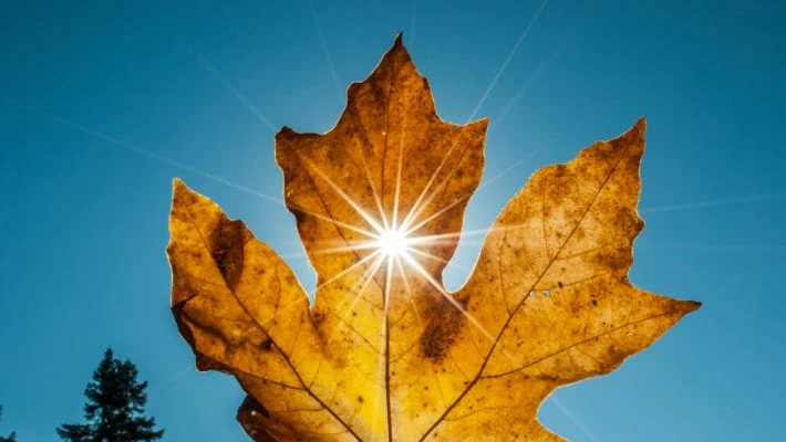 Октябрь в Узбекистане стал одним из самых теплых и сухих