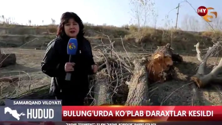 Кадр из видео