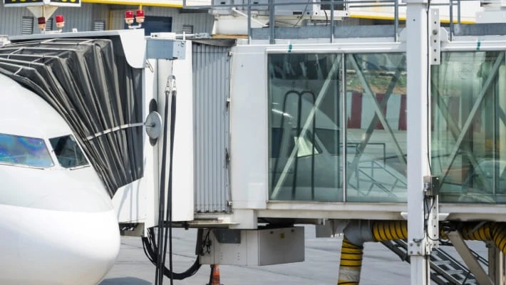 Должники по алиментам смогут временно снять запрет на выезд Должники по алиментам смогут временно снять запрет на выезд