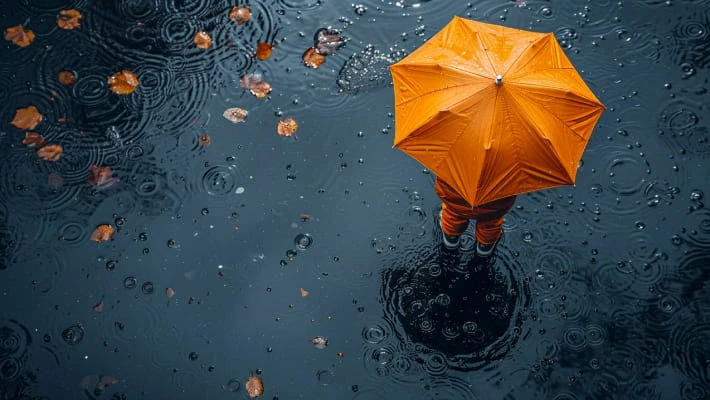 4 декабря в Узбекистане ожидаются дожди 4 декабря в Узбекистане ожидаются дожди