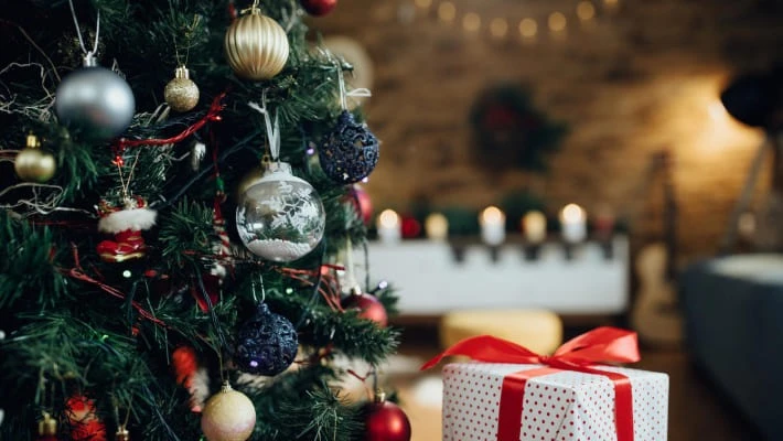 Чиновникам запретили новогодние корпоративы за счет государства Чиновникам запретили новогодние корпоративы за счет государства