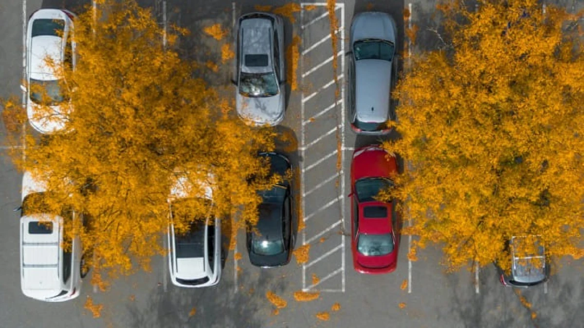 Хокимият Ташкента опроверг слухи о платной парковке во дворах жилых домов