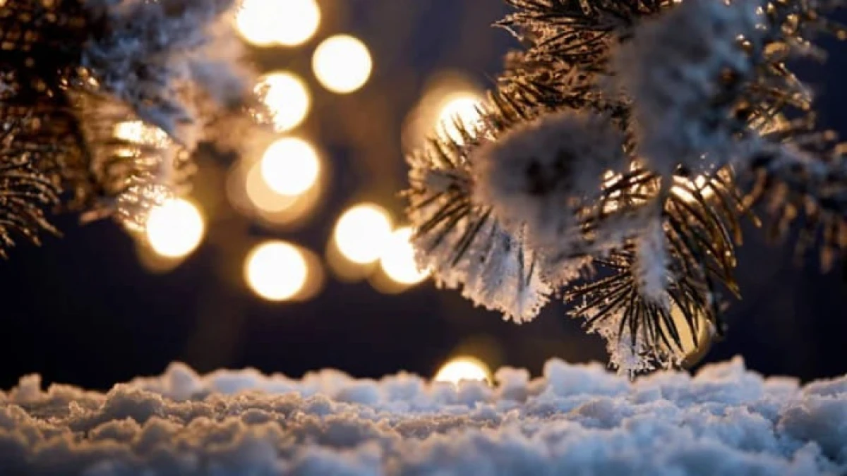 Синоптики оценили вероятность выпадения снега в Узбекистане