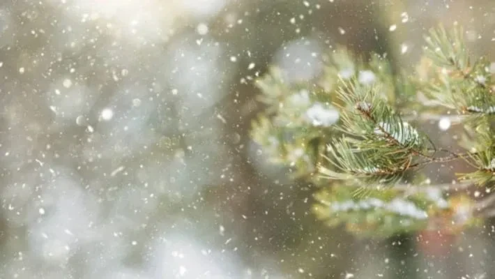 В Узбекистане ожидается похолодание В Узбекистане ожидается похолодание