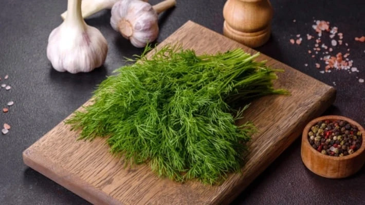 В Латвии уничтожили почти три тонны укропа из Узбекистана В Латвии уничтожили почти три тонны укропа из Узбекистана