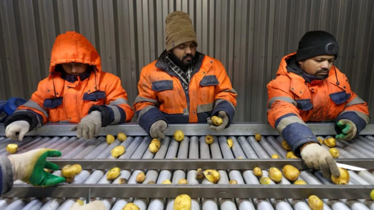 Reuters: Россия заменяет мигрантов из Центральной Азии на индийцев