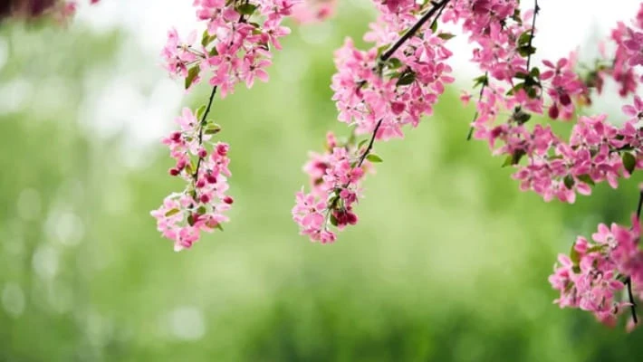 Синоптики рассказали о погоде в марте в Узбекистане Синоптики рассказали о погоде в марте в Узбекистане