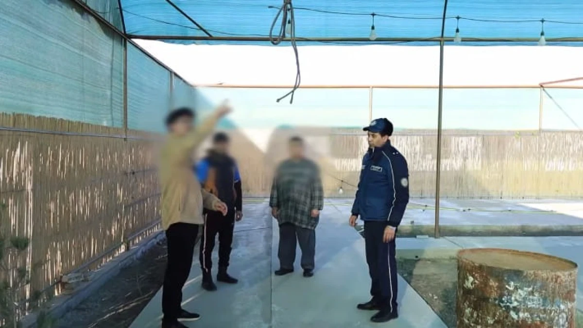 В Бухаре оштрафовали авторов скандальной рекламы кафе с «человечиной»