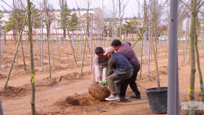 В Ташкенте создают питомник на 21 гектаре В Ташкенте создают питомник на 21 гектаре