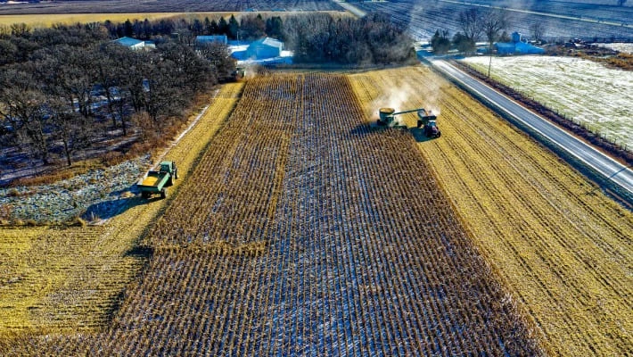 Узбекистанцы смогут работать на фермах США Узбекистанцы смогут работать на фермах США