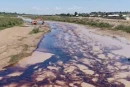 В Сурхандарье нефтесодержащие воды попали в реку