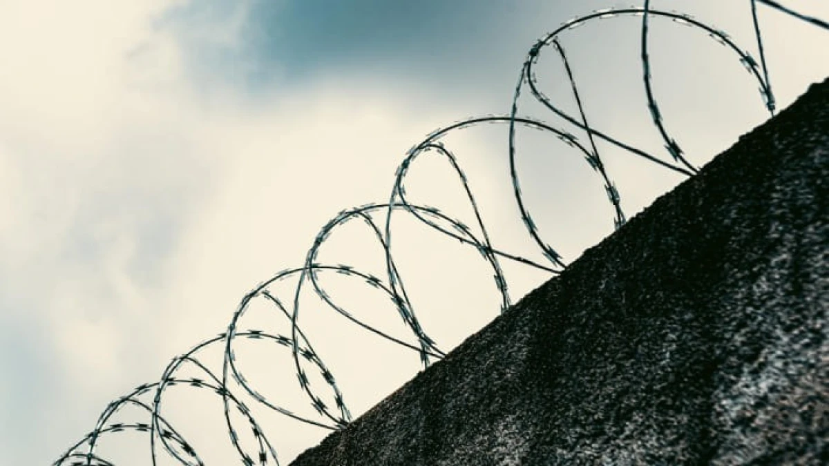 Россия готова передать более 3 тыс. осужденных узбекистанцев на родину