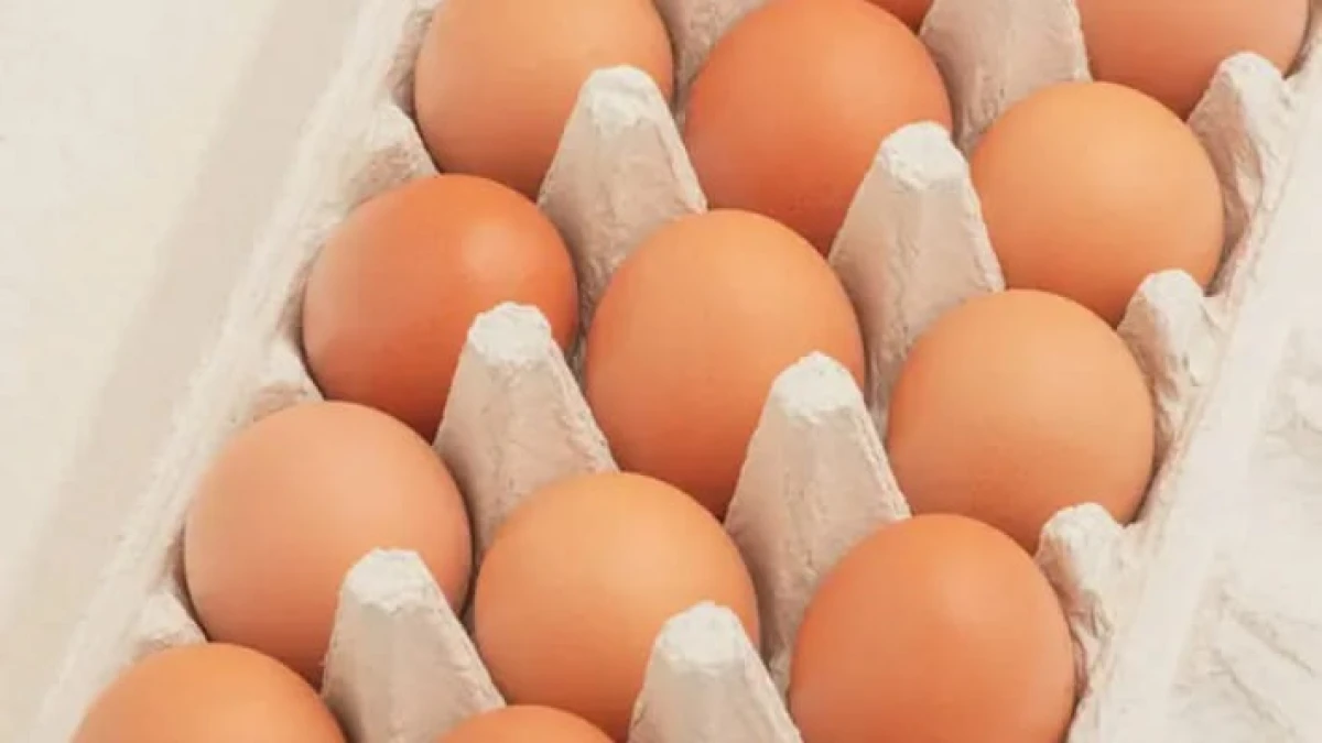 ОАЭ разрешили ввоз нескольких видов животноводческой продукции из Узбекистана