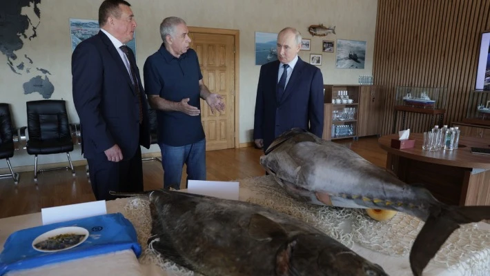 Япония может усилить санкции против России из-за визита Путина на Итуруп Япония может усилить санкции против России из-за визита Путина на Итуруп