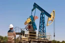 У Saneg аннулировали лицензии на месторождения